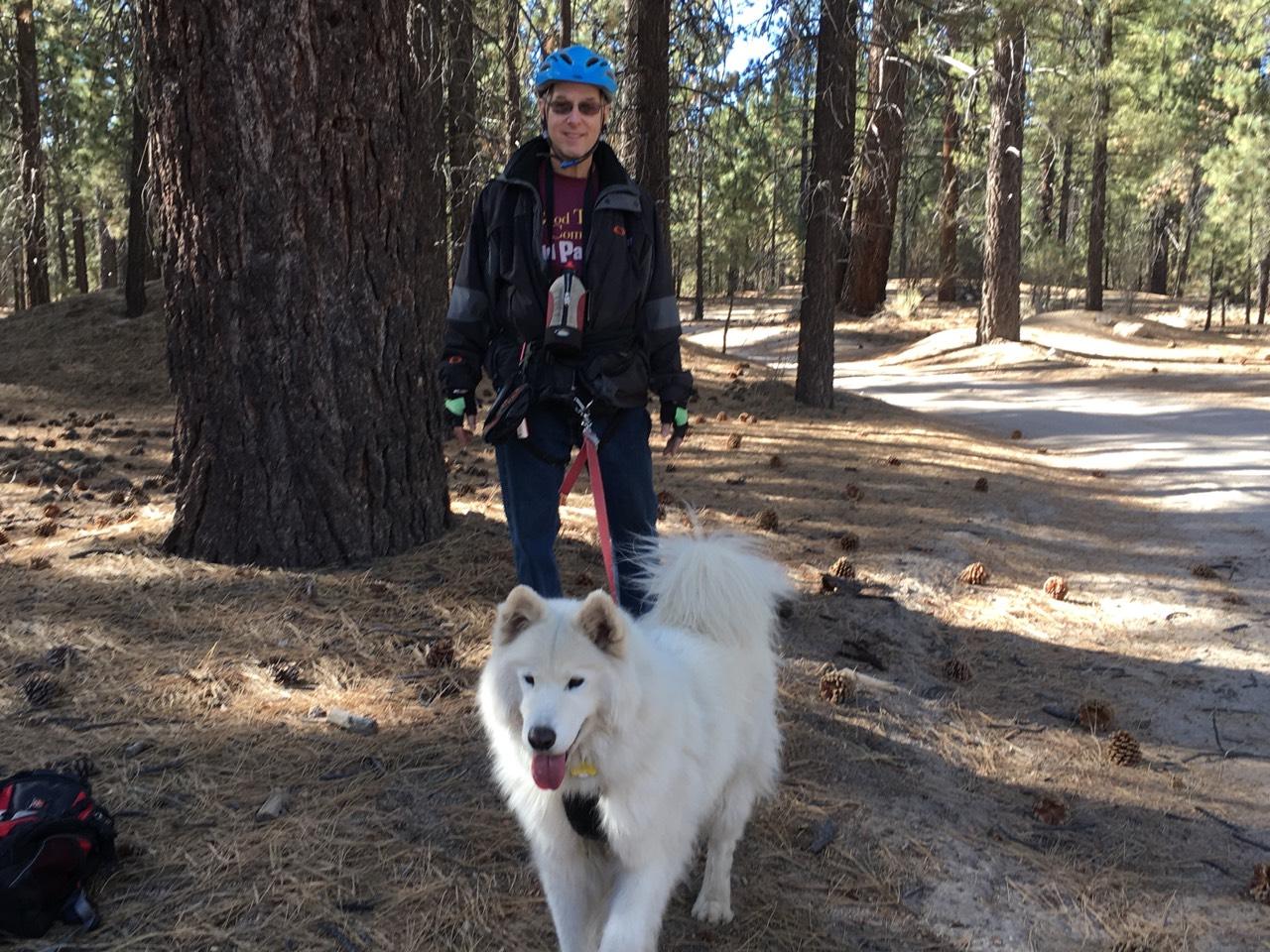 Holcomb valley dryland