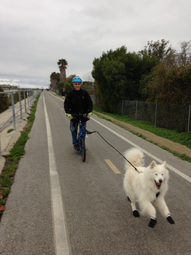 Scootering in Venice