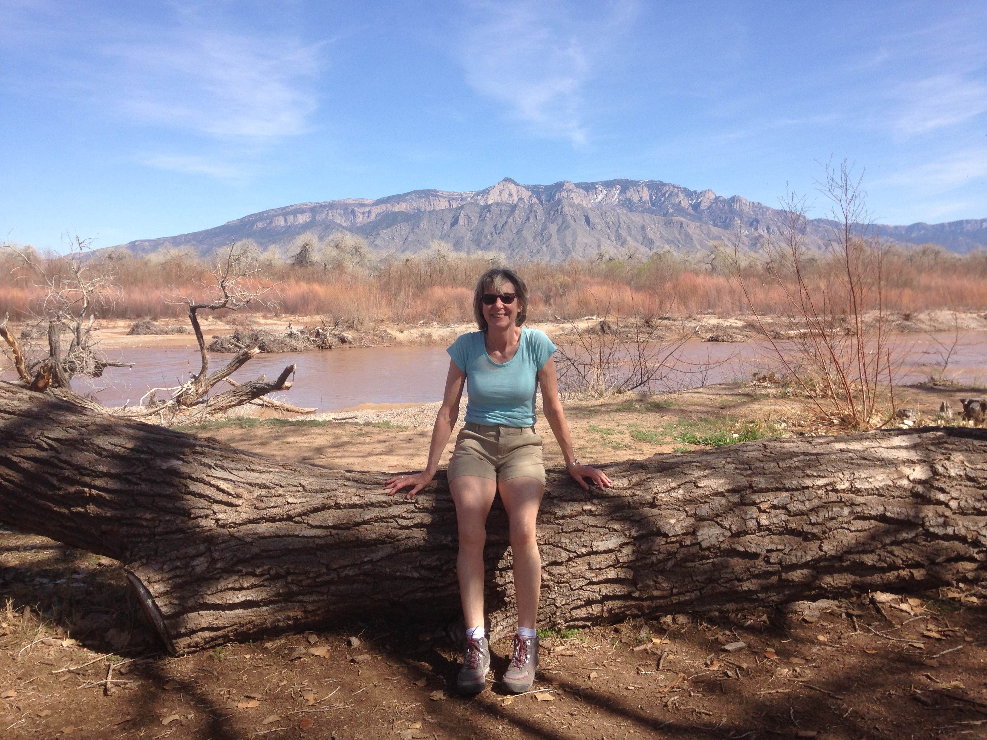 Lyn on log