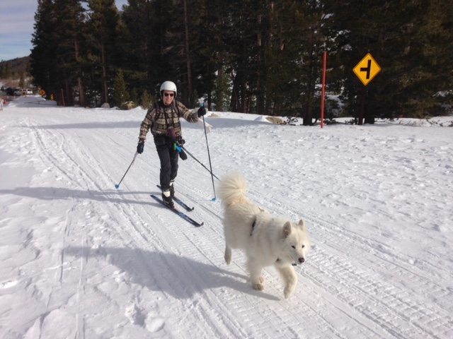 Gary Skijoring